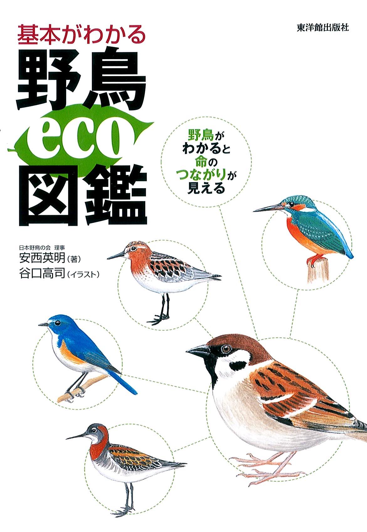 基本がわかる 野鳥eco図鑑 - 東洋館出版社